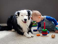 Dojenček in pes
