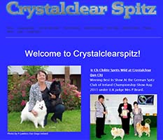 Crystalclear Spitz