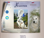 White Motion kennel
