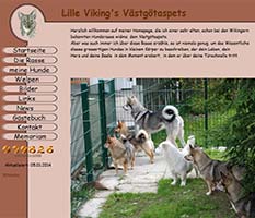 Lille Viking's
