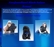 Newfoundland Black Solace