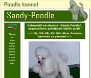 Sandy - Poodle kennel